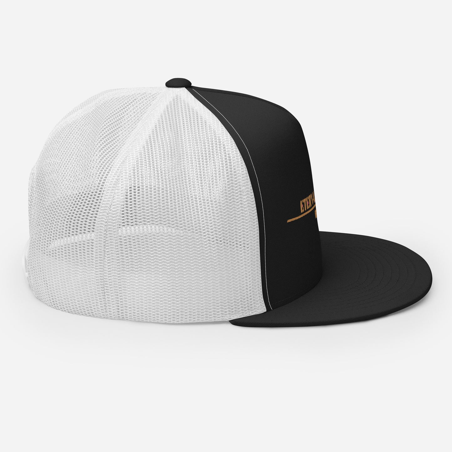 TRUTH Cap