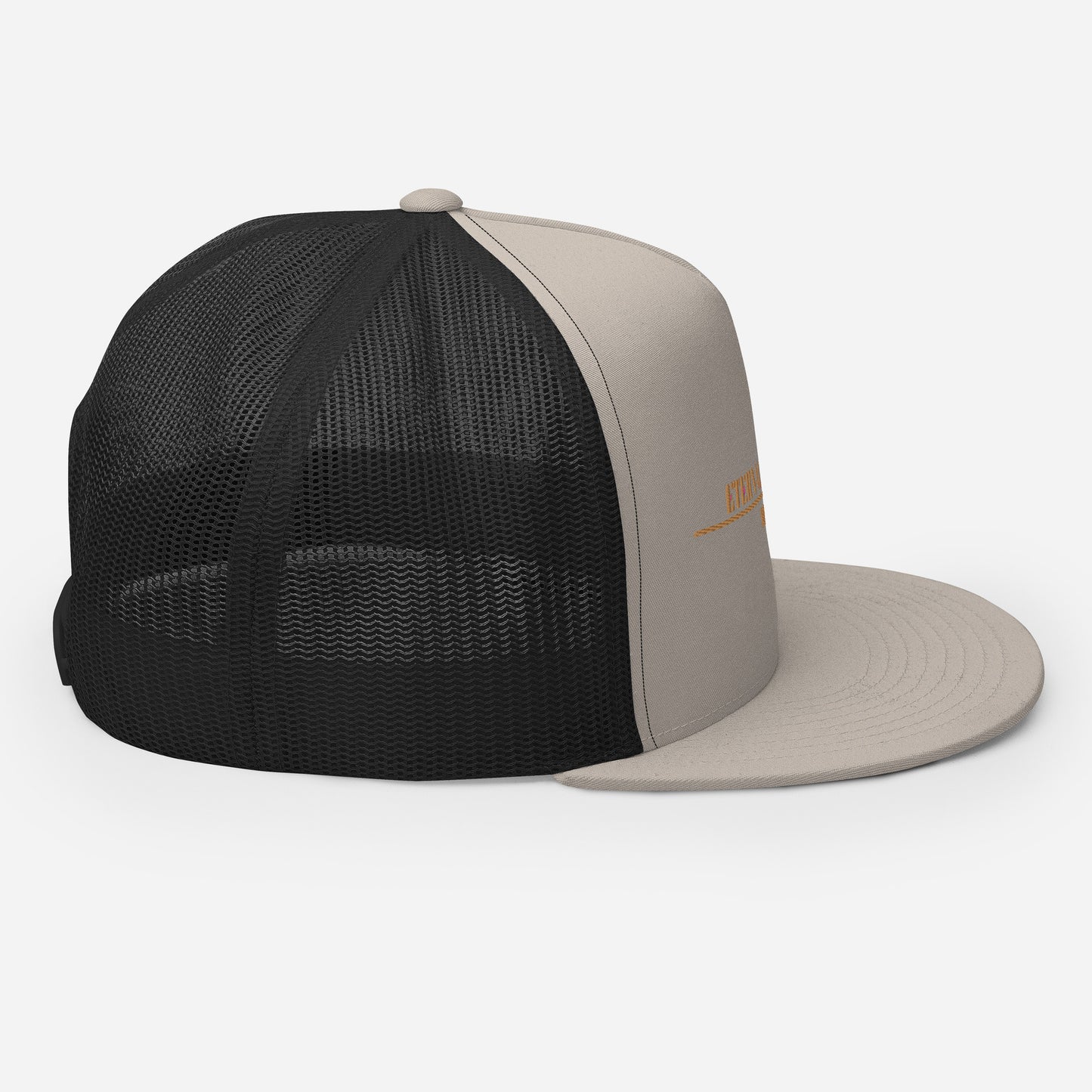TRUTH Cap
